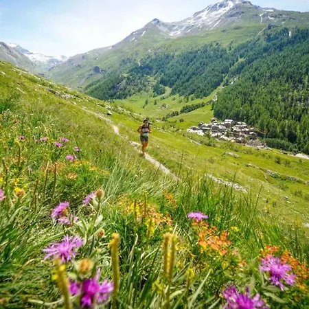 公寓 Chamois Blanc Terrasse - A Haven Near Aiguille Du Midi *